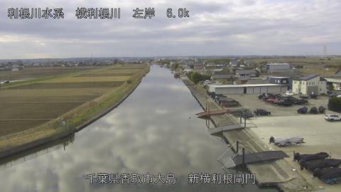 yoko2025122710_image