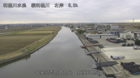 yoko2025122715_image