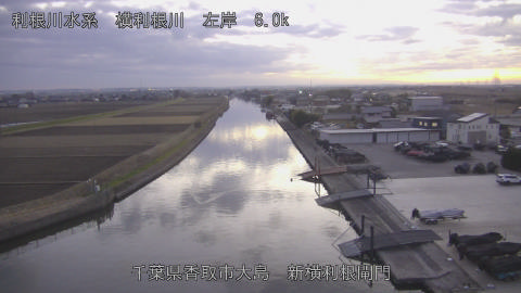 yoko2025122717_image