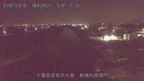 yoko2025122801_image