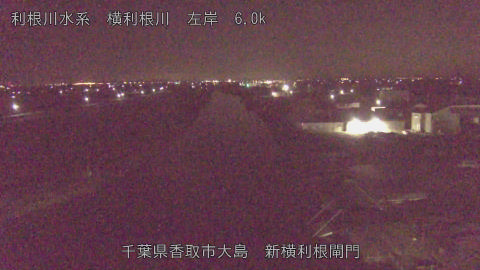 yoko2025122802_image