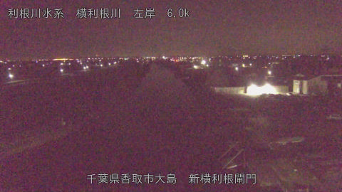 yoko2025122804_image