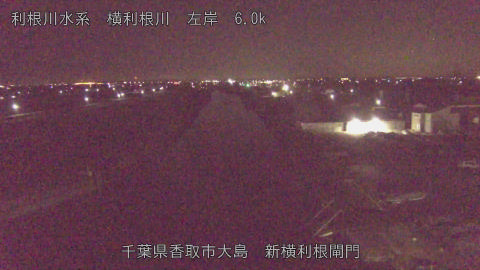 yoko2025122805_image