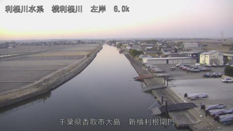 yoko2025122807_image