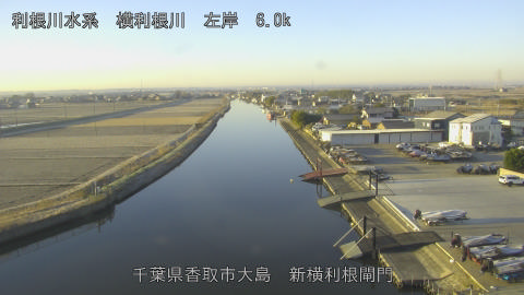 yoko2025122808_image