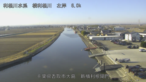 yoko2025122809_image