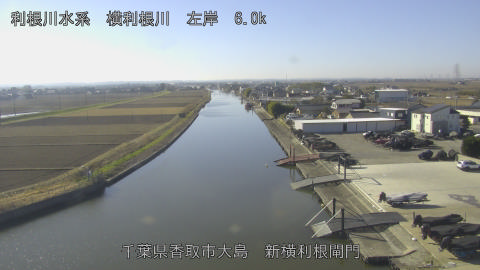 yoko2025122811_image