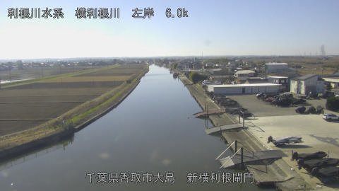 yoko2025122812_image