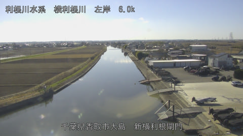 yoko2025122813_image