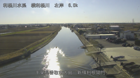 yoko2025122814_image