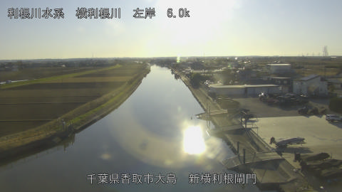 yoko2025122815_image