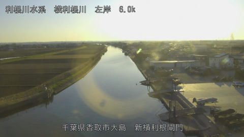 yoko2025122816_image