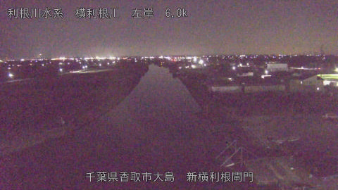 yoko2025122818_image