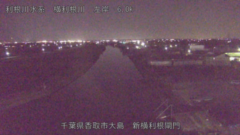 yoko2025122819_image