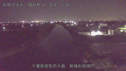 yoko2025122820_image