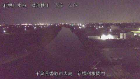 yoko2025122821_image