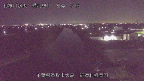 yoko2025122822_image