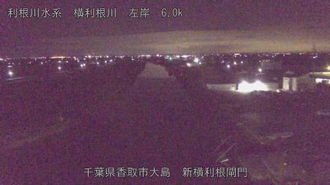 yoko2025122901_image