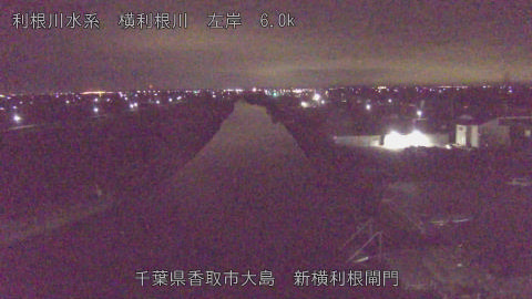 yoko2025122905_image