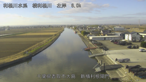 yoko2025122909_image