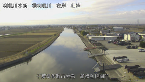 yoko2025122910_image