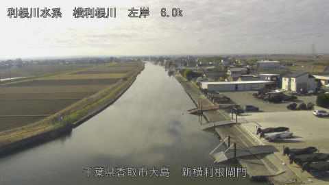 yoko2025122911_image