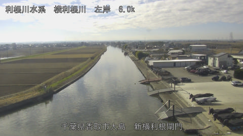 yoko2025122912_image