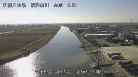 yoko2025122913_image