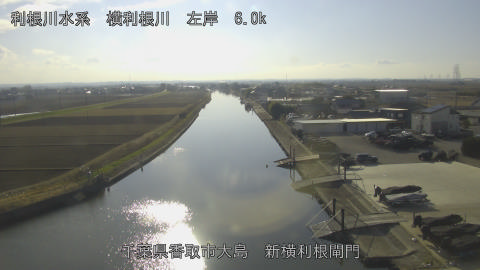 yoko2025122914_image