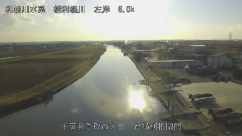 yoko2025122915_image