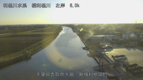 yoko2025122916_image