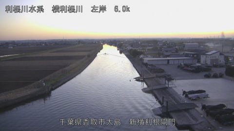 yoko2025122917_image