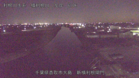 yoko2025122918_image