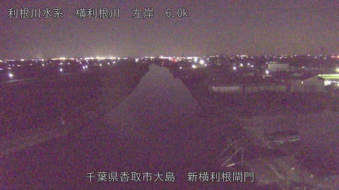 yoko2025122919_image