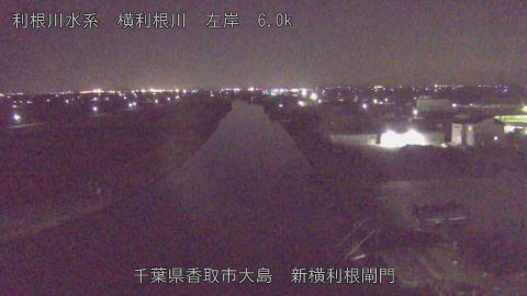 yoko2025122921_image