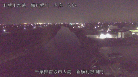 yoko2025122922_image