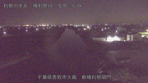 yoko2025122923_image