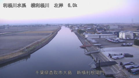 yoko2025123007_image