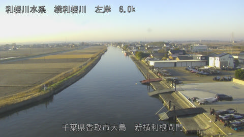 yoko2025123008_image