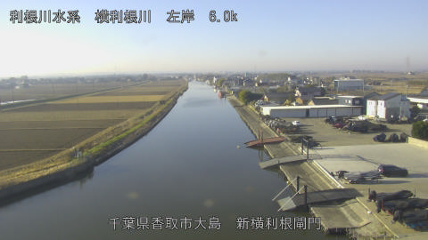 yoko2025123009_image