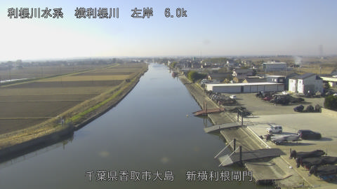 yoko2025123010_image