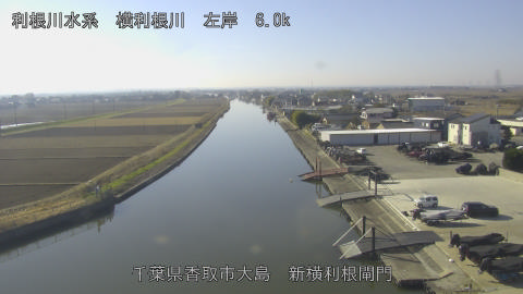 yoko2025123011_image