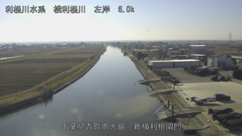 yoko2025123013_image