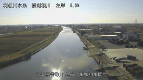 yoko2025123014_image