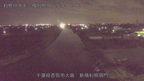 yoko2025123019_image