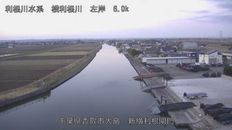 yoko2025123107_image