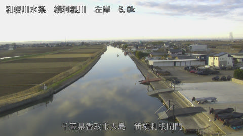 yoko2025123108_image