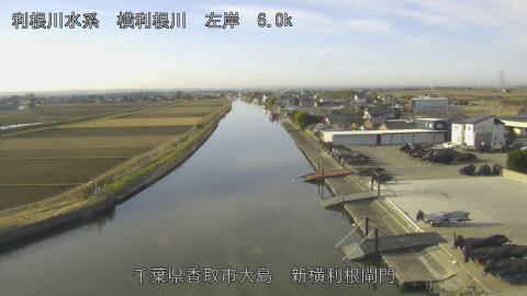 yoko2025123109_image