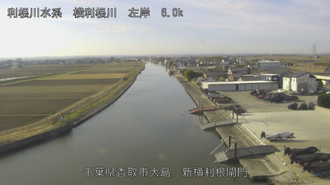 yoko2025123110_image