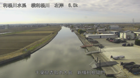 yoko2025123111_image